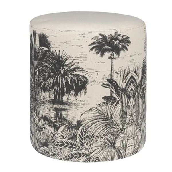 image nouvaute